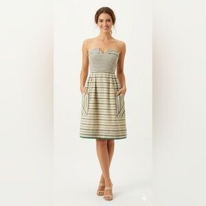 Anthropologie Maeve Changing Stripes Dress Retro Pinup (17)